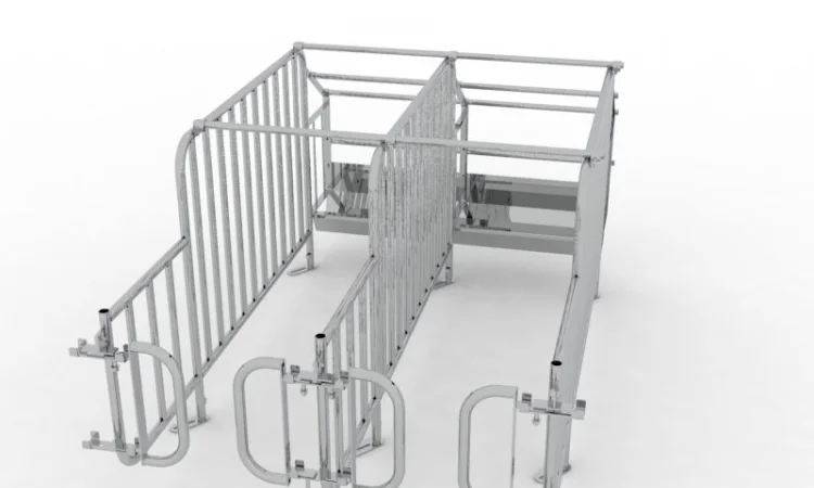 Станок для запліднення свиноматок, обладнання для свиней, свині, свинарство - фото № 3