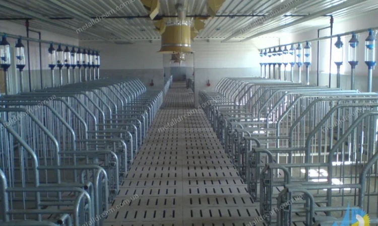 Обладнання для свинарства. Станки для опоросу, откорму, індивідуального утримання свиней - фото № 4