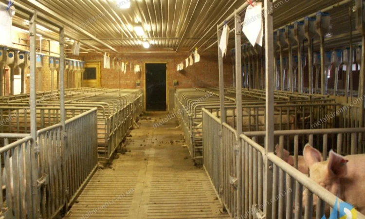 Обладнання для свинарства. Станки для опоросу, откорму, індивідуального утримання свиней - фото № 6