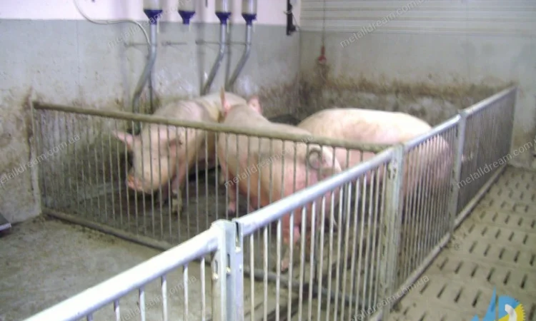 Обладнання для свинарства. Станки для опоросу, откорму, індивідуального утримання свиней - фото № 8