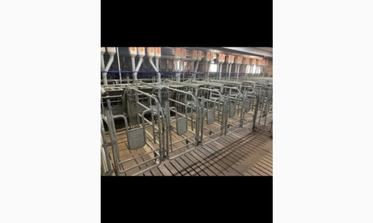 Станок для запліднення свиноматки - фото № 1