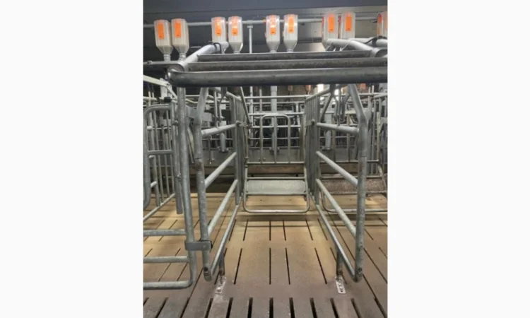 Станок для запліднення свиноматки - фото № 3