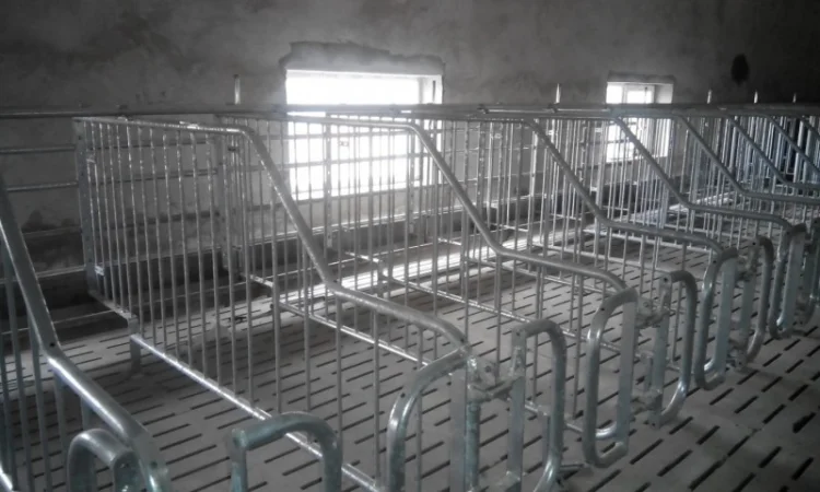 Станки для осеменения - фото № 1