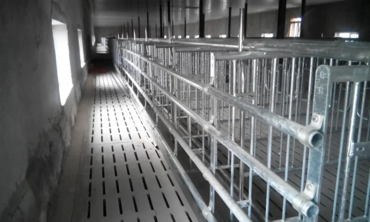 Станки для осеменения - фото № 2