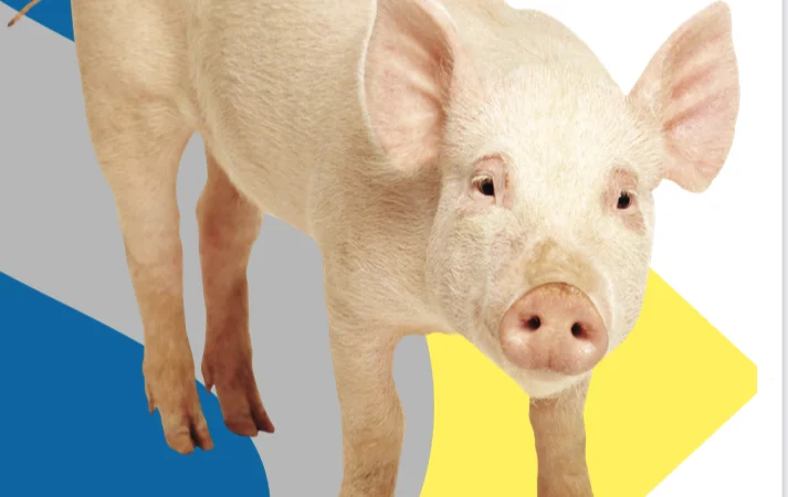 Виготовлення обладнання для свинарників - фото № 1