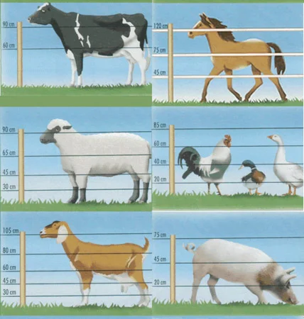 Изгородь электрическая, электропастух, электроизгородь. Електрична огорожа. Пастух - фото № 1