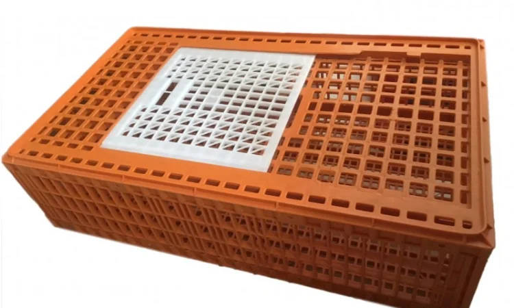 Ящик для перевезення птиці з одними дверцятами зверху 96х57х27см - фото № 2