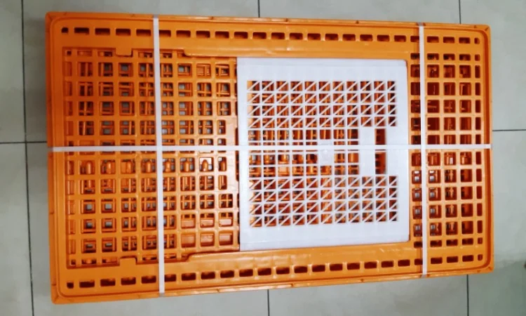 Ящик для перевезення птиці з одними дверцятами зверху 96х57х27см - фото № 4