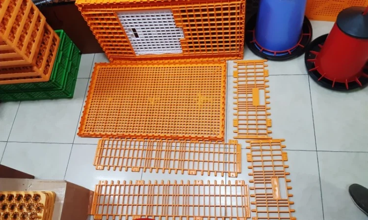 Ящик для перевезення птиці з одними дверцятами зверху 96х57х27см - фото № 5