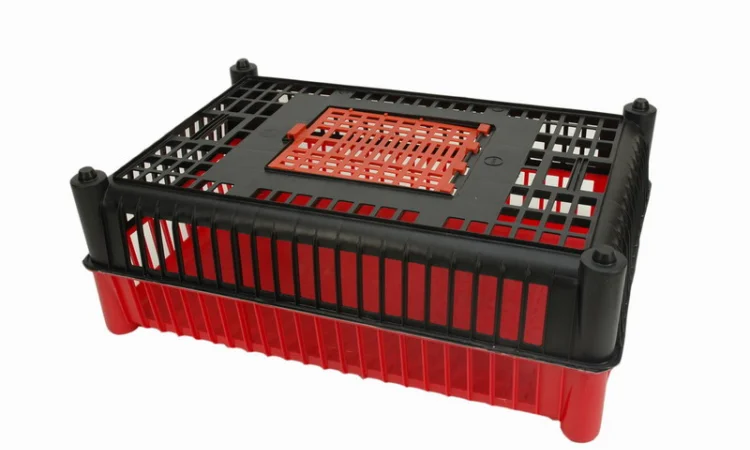 Ящик для перевезення птиці виробництва Польша від офіційного представника в Україні - фото № 3