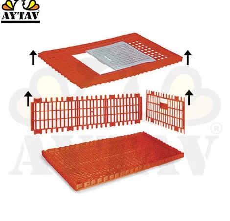 Ящики для перевозки птицы на паллете (ящик совмещенный с паллетом) - фото № 1