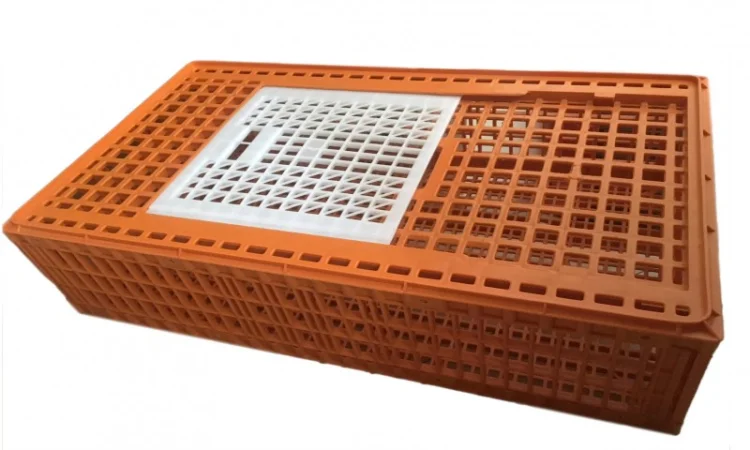 Ящики для перевезення птиці, ящики перевезення курей, ящики для транспортування птиці - фото № 2