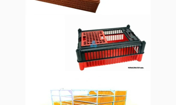 Ящики для перевозки перепелов, куропаток, ящики для перепелів - фото № 4