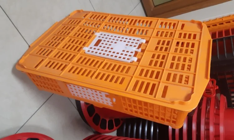 Ящики для перевозки перепелов, куропаток, ящики для перепелів - фото № 2