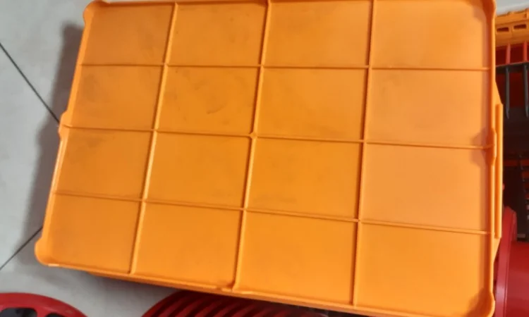 Ящики для перевозки перепелов, куропаток, ящики для перепелів - фото № 3