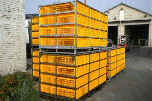 Ящики для перевозки птицы - фото № 2