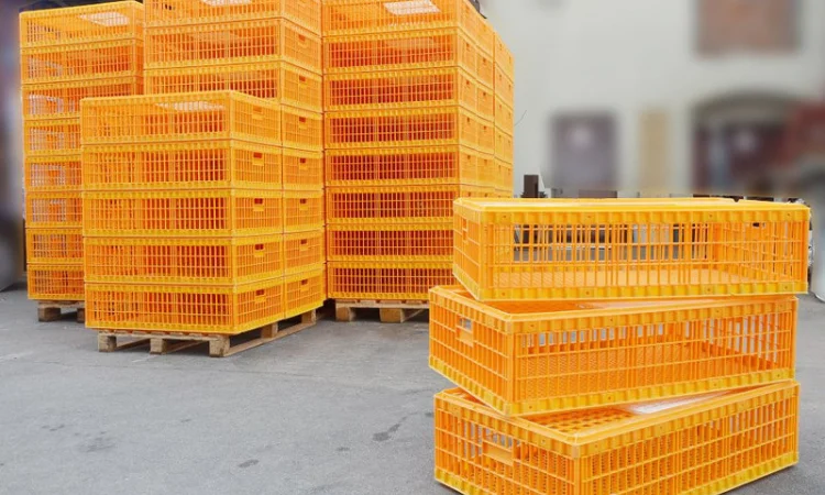 Ящики для перевозки птицы - фото № 4