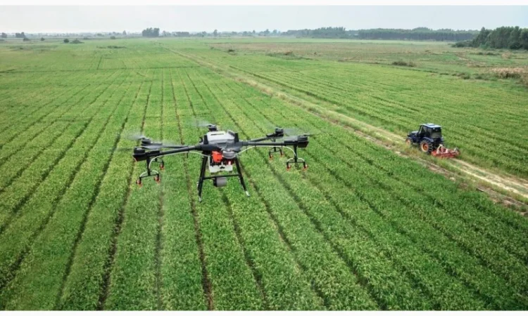 Аренда агродронов, Украина - фото № 1