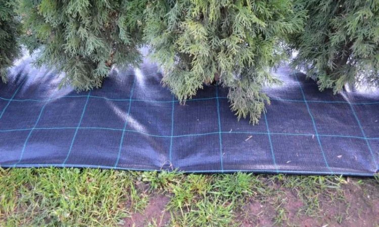 Агроволокно, Агротканина за цінами виробника в Україні. Виробництво: Чехія, Польща - фото № 11