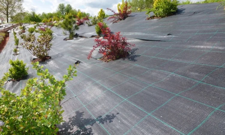 Агроволокно, Агротканина за цінами виробника в Україні. Виробництво: Чехія, Польща - фото № 6