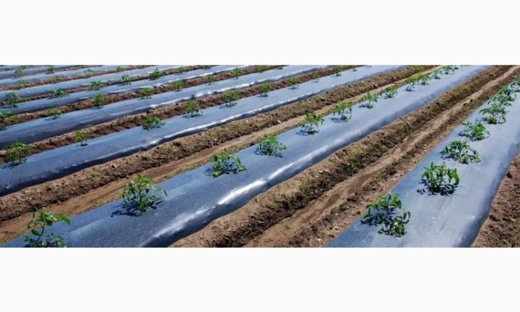 Vatan Plastik мульчующа плівка купити - фото № 1