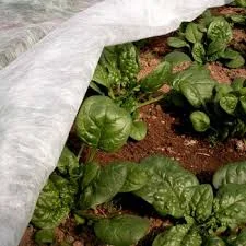 Агроволокно Агротекс 3, 2х100, 19 плотность - фото № 1