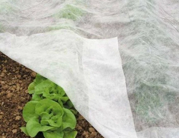 Агроволокно Агротекс 1, 6х100, 60 плотность - фото № 1