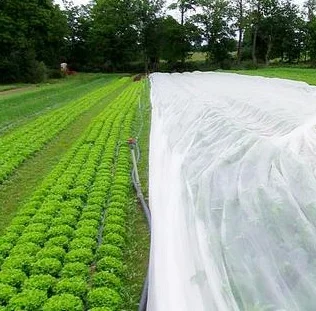 Агроволокно Агротекс 3, 2х100, 60 плотность - фото № 1