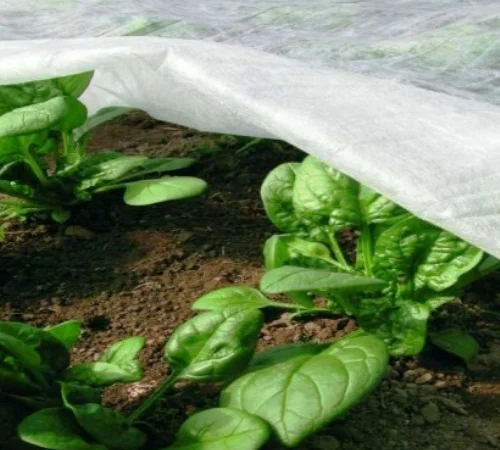 Агроволокно Агротекс 1, 6х100, 19 плотность - фото № 1