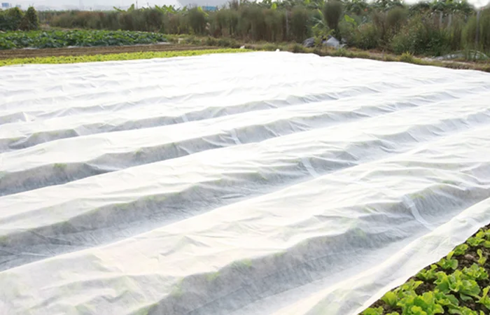 Агроволокно Агротекс 3, 2х100, 30 плотность - фото № 1