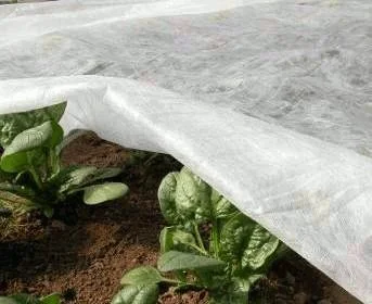 Агроволокно Агротекс 3, 2х100, 42 плотность - фото № 1