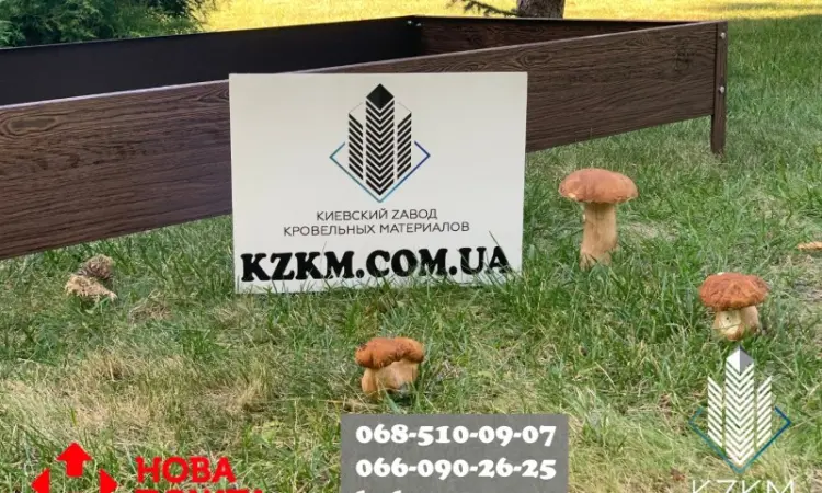 Грядка городна - фото № 7