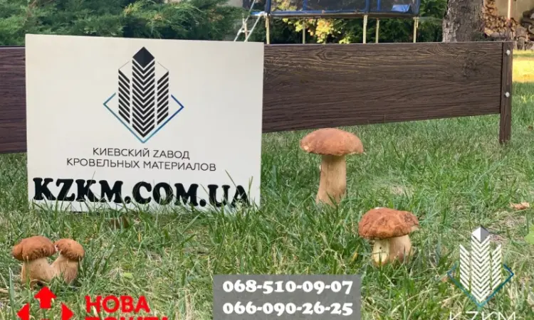 Грядка городна - фото № 9