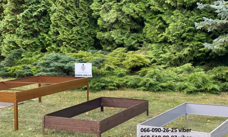 Цветные грядки для огорода - фото № 2