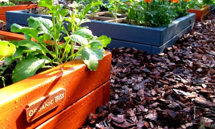 Высокие грядки купить в Украине Киев - фото № 6