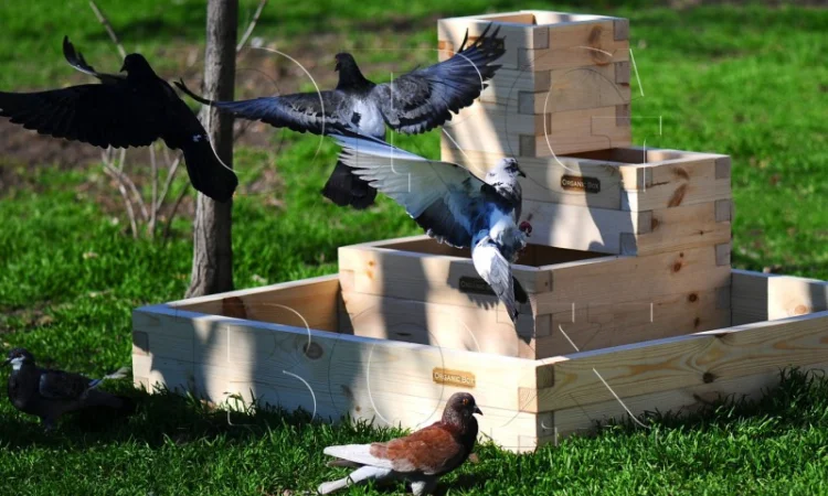 Высокие грядки Organic Box, ограждение для высоких грядок купить - фото № 1