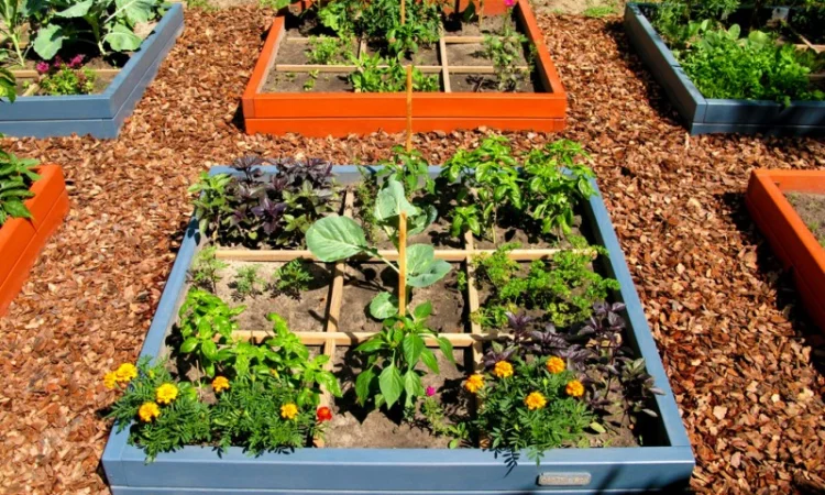 Обустройство декоративного огорода "под ключ". Высокие грядки, приподнятые грядки - фото № 1