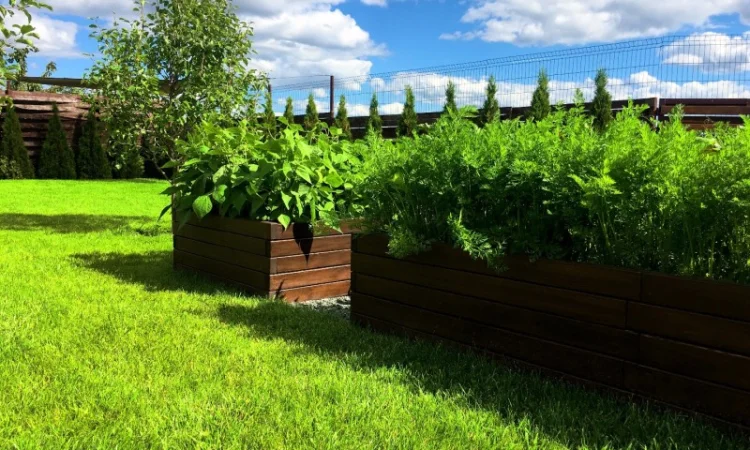 Обустройство декоративного огорода "под ключ". Высокие грядки, приподнятые грядки - фото № 7