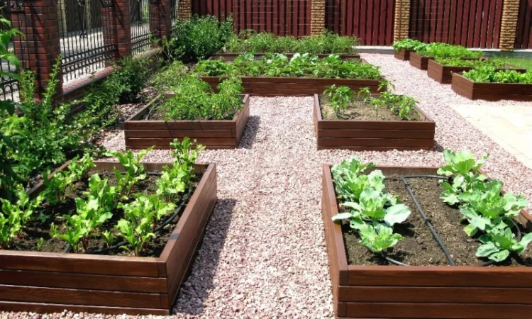 Декоративный огород, высокие грядки от производителя Organic Box купить Киев, Украина - фото № 5