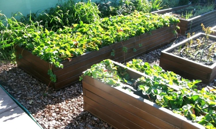 Декоративный огород, высокие грядки от производителя Organic Box купить Киев, Украина - фото № 6