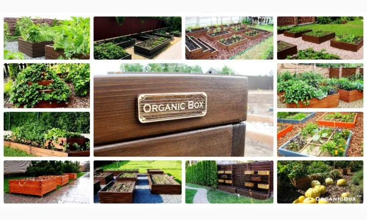 Современные высокие грядки, декоративный огород фото, от производителя. Киев Украина - фото № 1