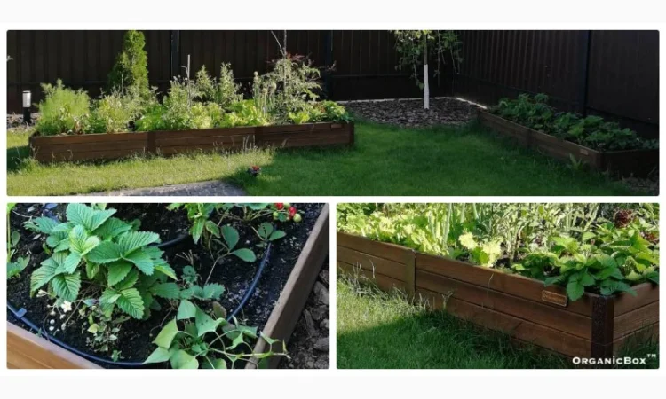 Современные высокие грядки, декоративный огород фото, от производителя. Киев Украина - фото № 10