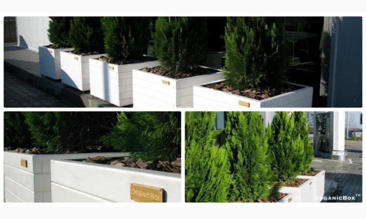 Современные высокие грядки, декоративный огород фото, от производителя. Киев Украина - фото № 9