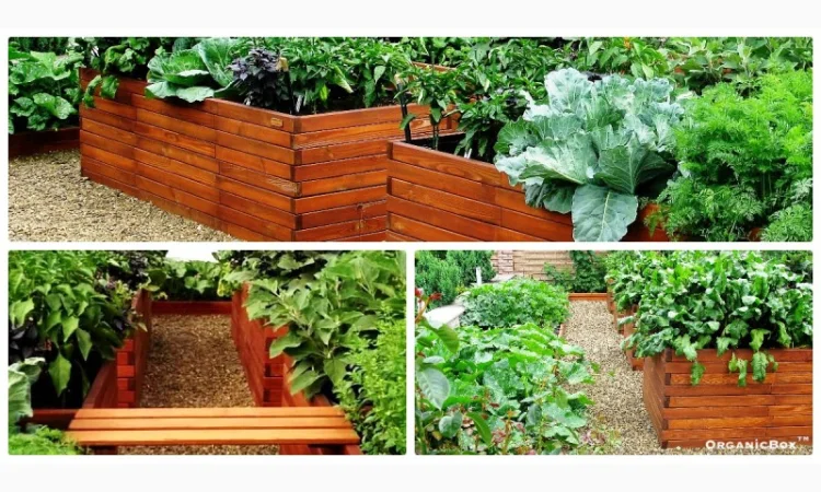 Современные высокие грядки, декоративный огород фото, от производителя. Киев Украина - фото № 8