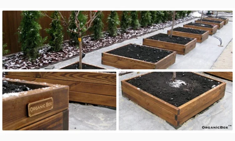 Современные высокие грядки, декоративный огород фото, от производителя. Киев Украина - фото № 6