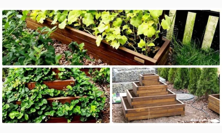 Современные высокие грядки, декоративный огород фото, от производителя. Киев Украина - фото № 5