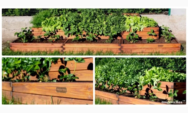 Современные высокие грядки, декоративный огород фото, от производителя. Киев Украина - фото № 4