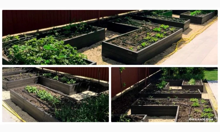 Современные высокие грядки, декоративный огород фото, от производителя. Киев Украина - фото № 16