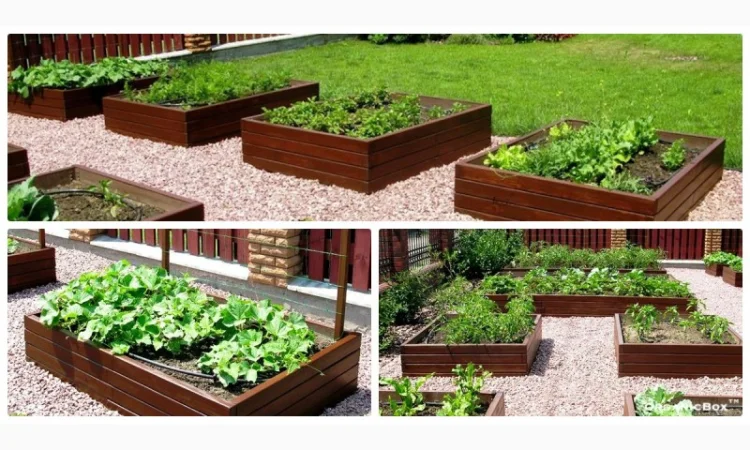 Современные высокие грядки, декоративный огород фото, от производителя. Киев Украина - фото № 14