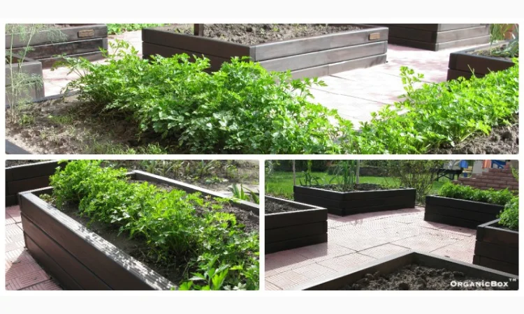 Современные высокие грядки, декоративный огород фото, от производителя. Киев Украина - фото № 12